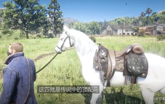荒野大镖客2最好的极品马阿拉伯马.jpg
