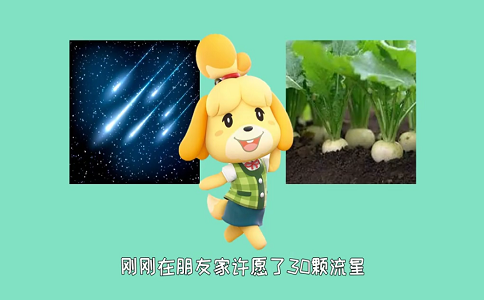 1651826359982114.png 动物森友会岛屿规划思路.png